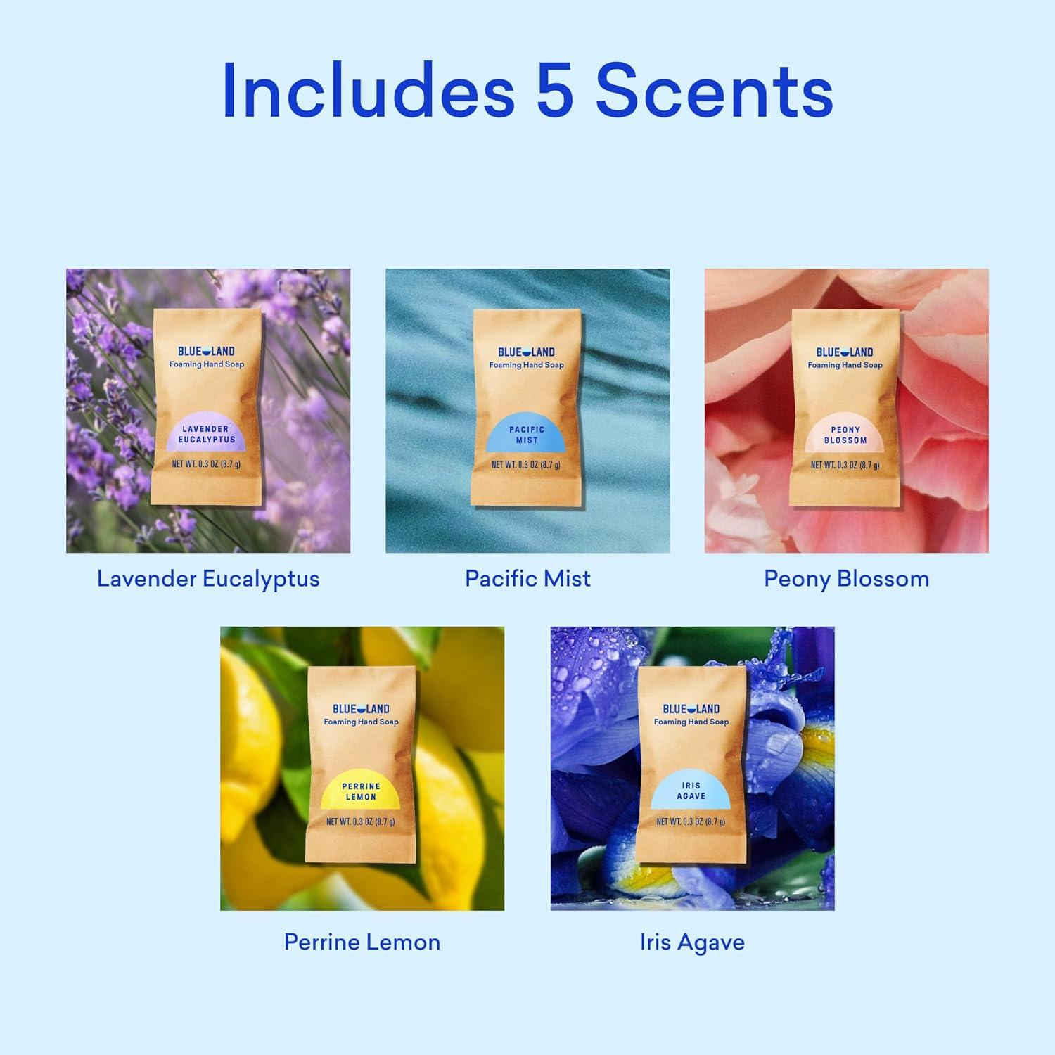 image:imageBLUELAND Foaming Hand Soap Refill Tablets 10Pack Iris Agave Scent Eco Friendly Cleaning Products 10 x 9 Fl ozClassic Variety