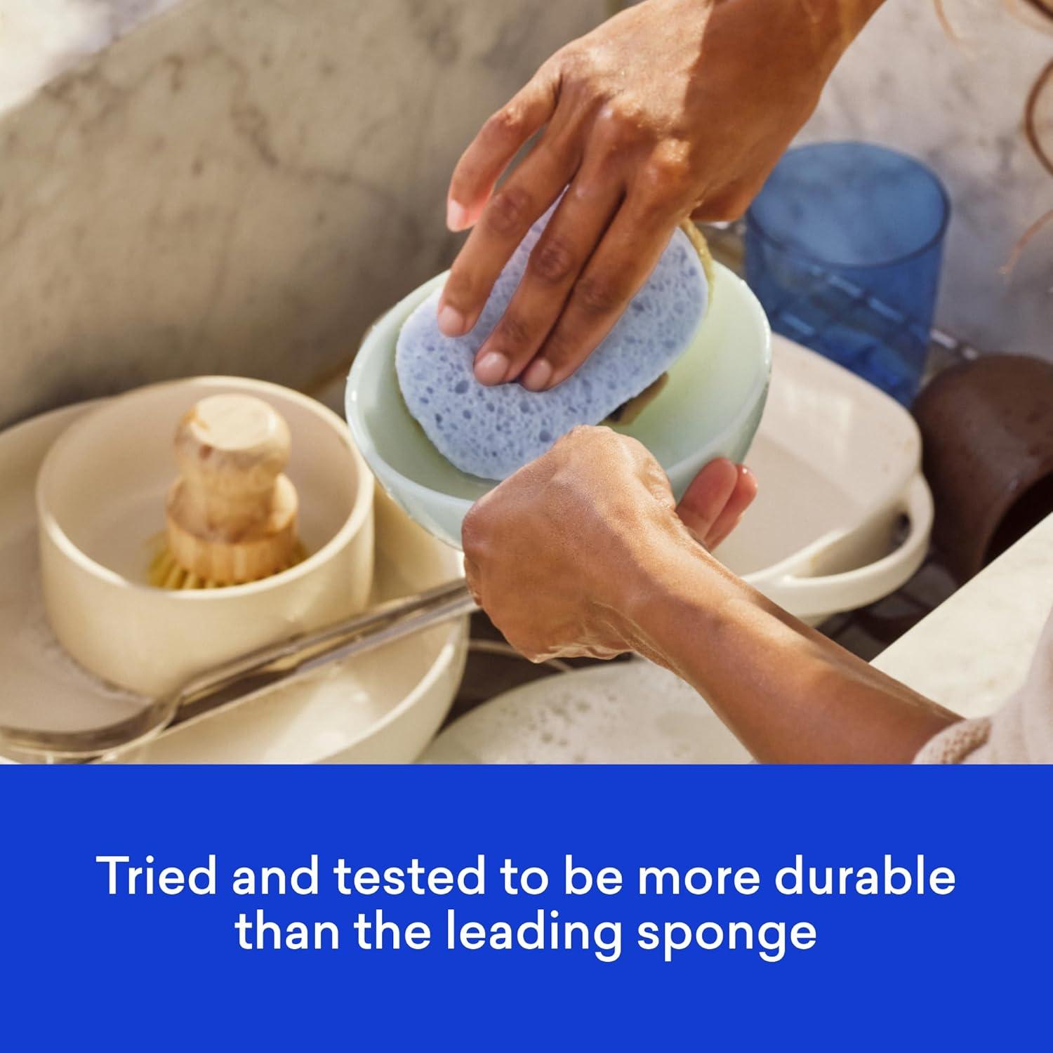 image:imageBLUELAND Scrub Sponge 3Pack DualSided Dish Loofah PlasticFree PlantBased Kitchen Scrubbing NonScratch